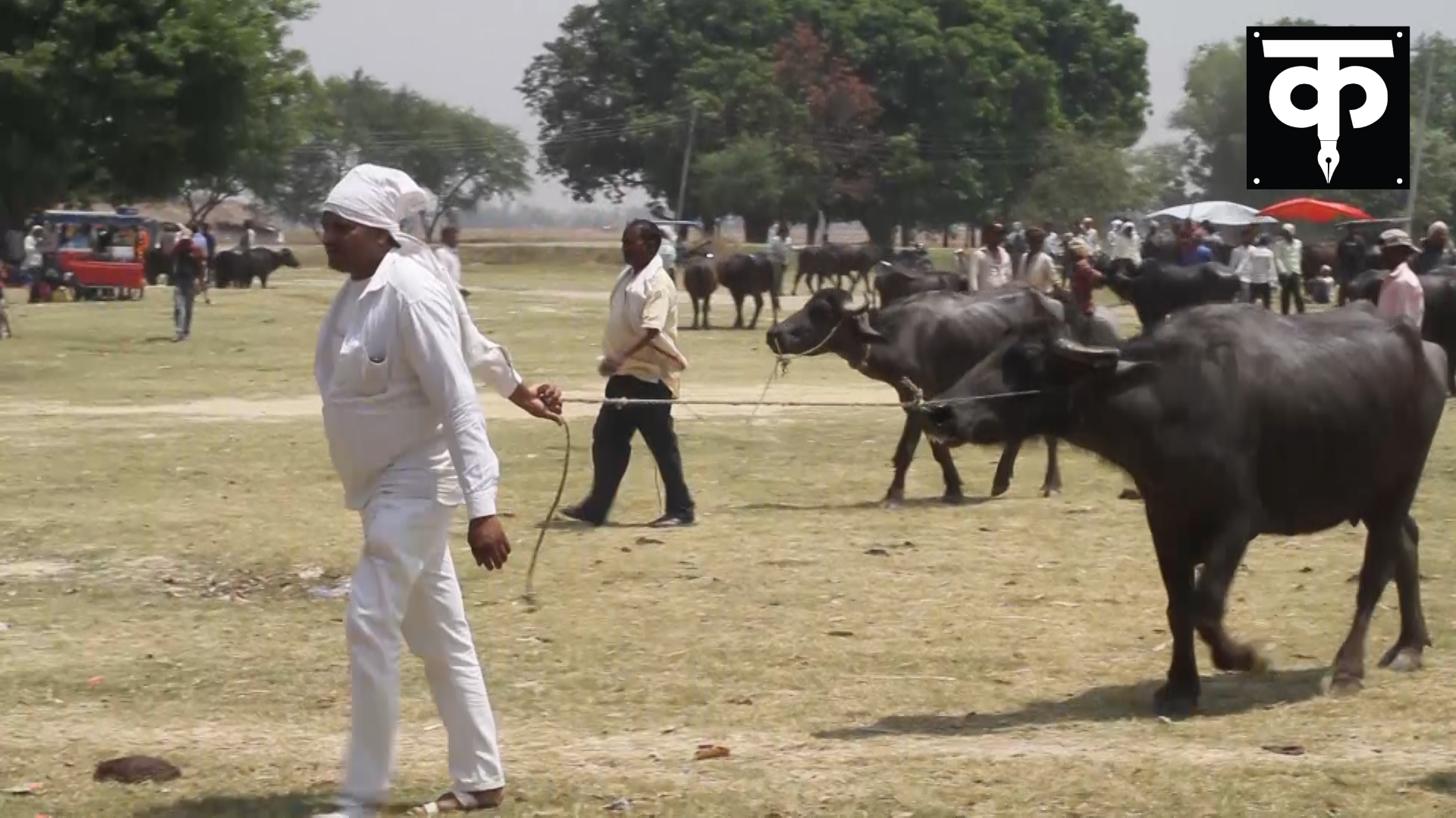 एक दिनको कमाइले हप्तादिन धानिने भएपछि पशु हाटबजारमा व्यापारीहरुको आकर्षण बढ्दै