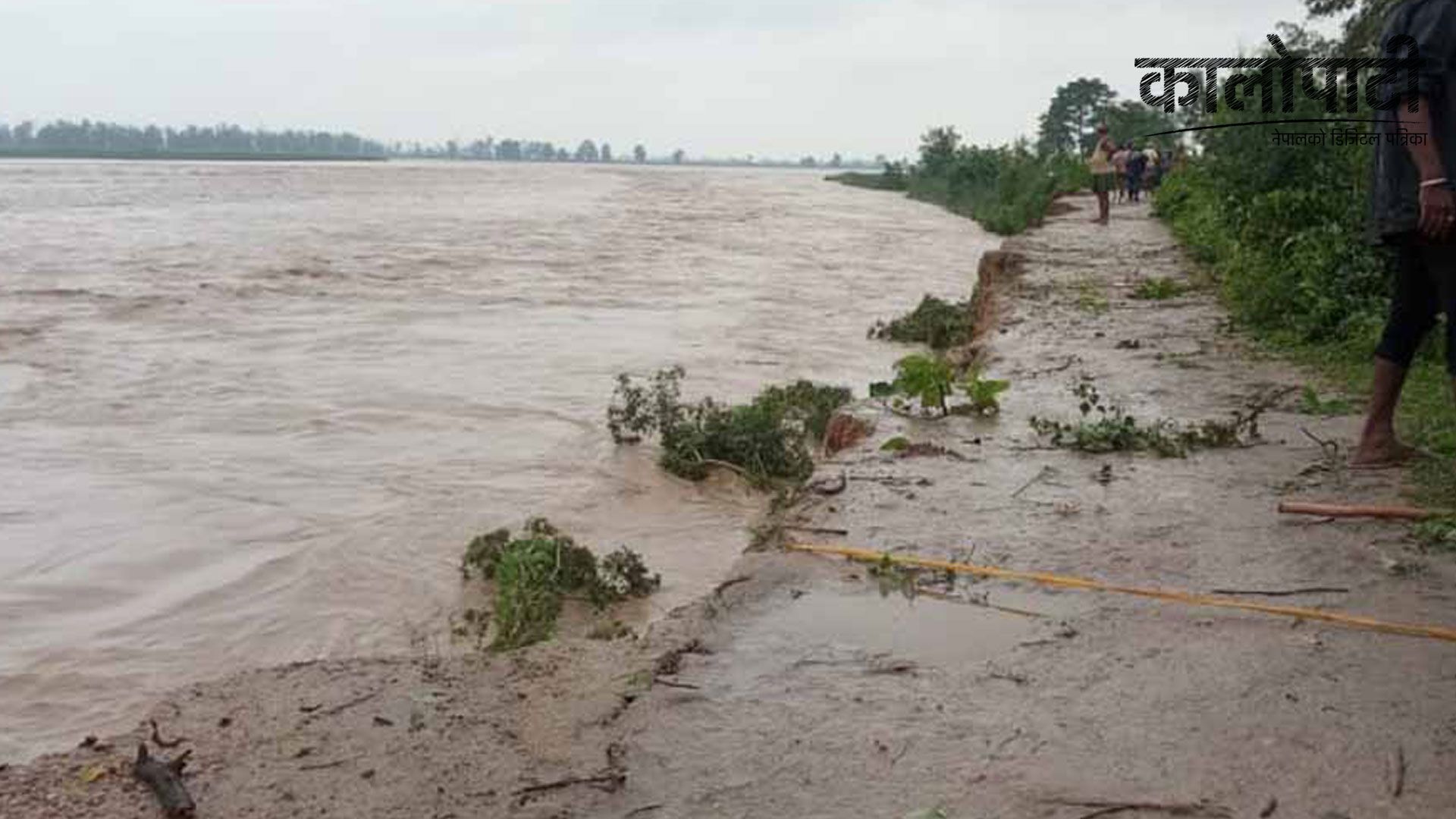 झापाको रतुवा खोलामा बाढी आउँदा १३ घरपरिवार विस्थापित, २५ घर डुबानमा