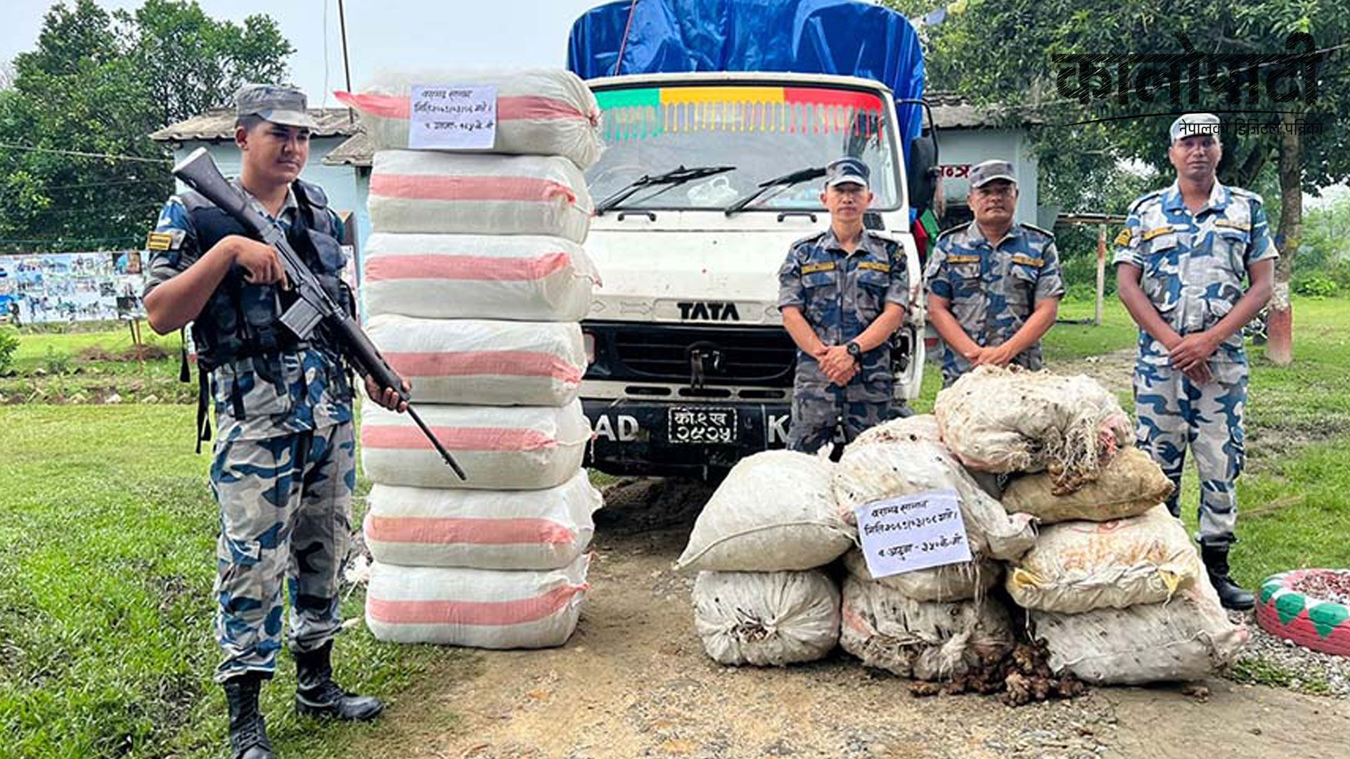 सप्तरीबाट मिनी ट्रक सहित ७ वटा बोरामा बाँधिएको गाँजा बरामद